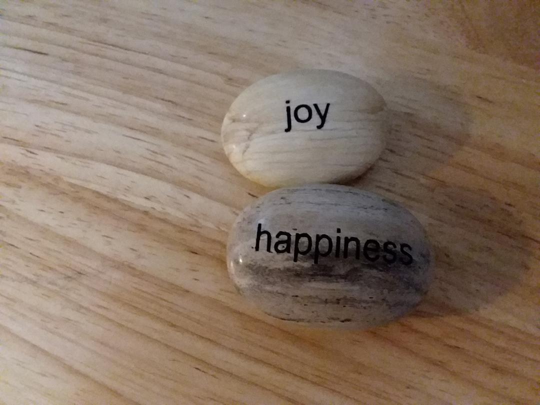 Two petrified wood hand stones.  One with Joy carved in it and one with happiness carved in it as reminders that we create our own reality.